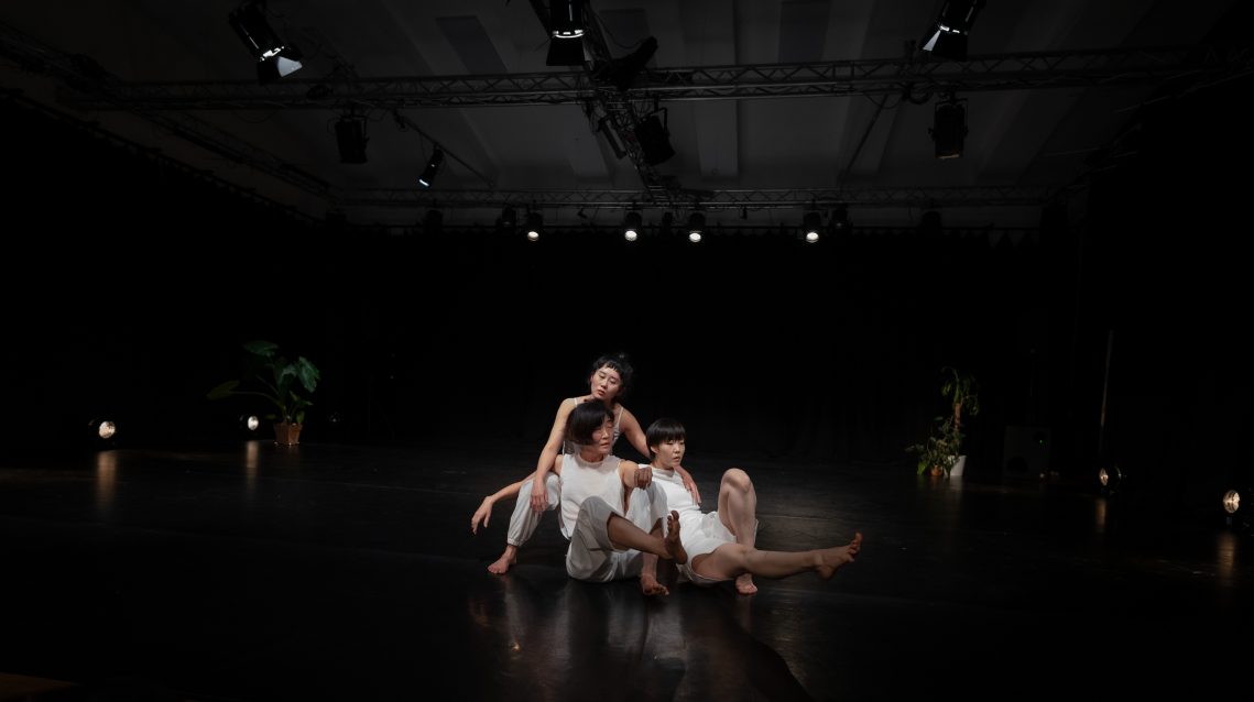 탄츠테아터원스 공연 